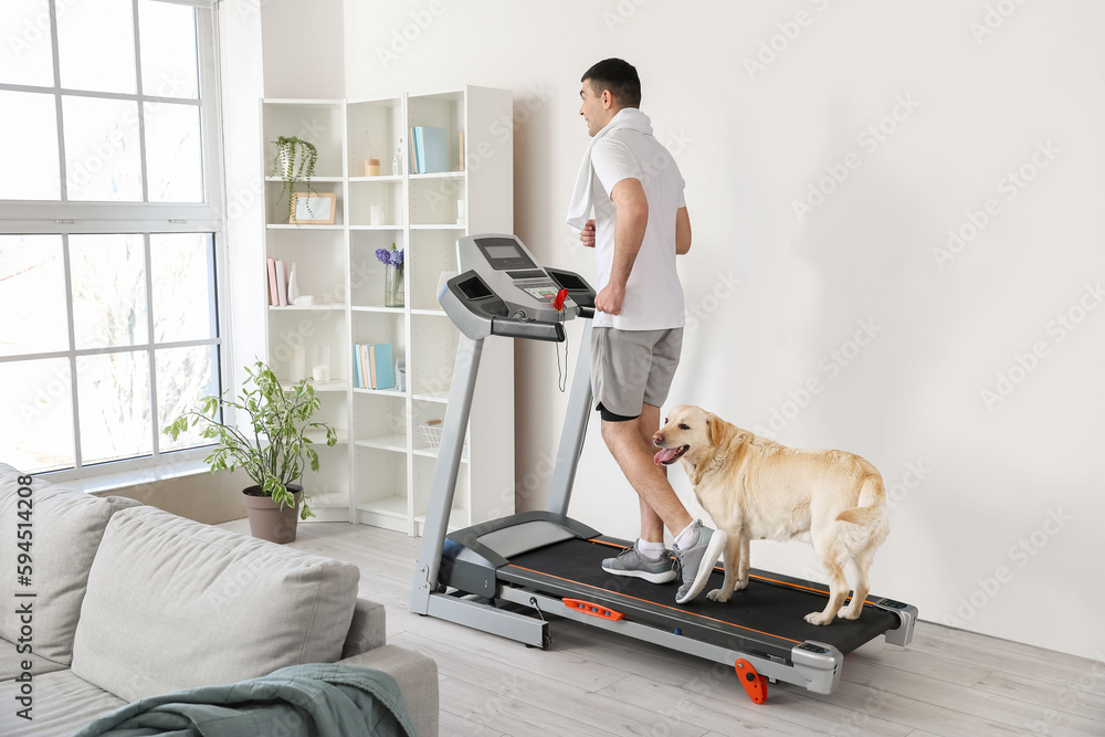 Young man with cute Labrador dog training on treadmill at home