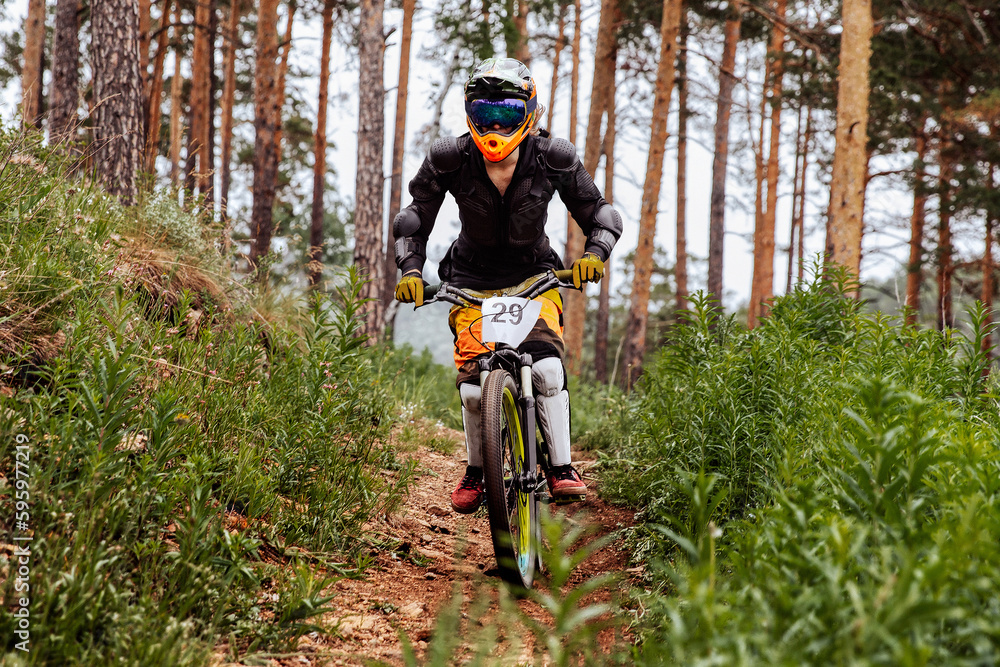 male racer athlete riding downhill race in pine forest, on him protection jacket, and knee, shin gua