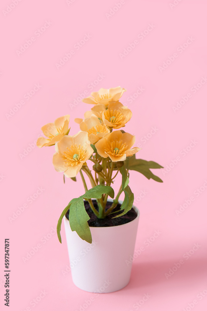 Beautiful yellow flowers in pot on pink background
