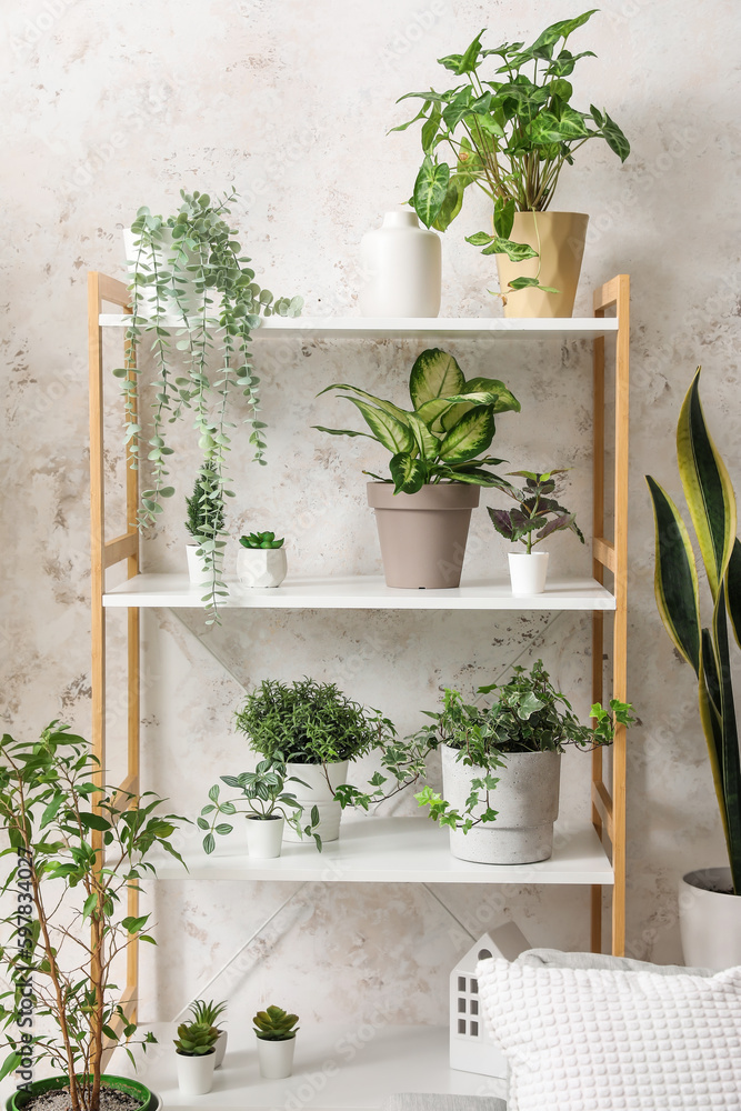 Shelving unit with green houseplants in light living room