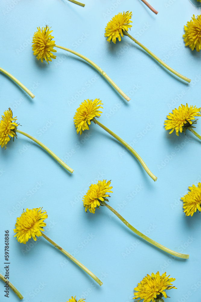 Bright yellow dandelions on blue background
