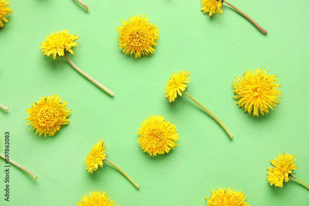 Bright yellow dandelions on green background