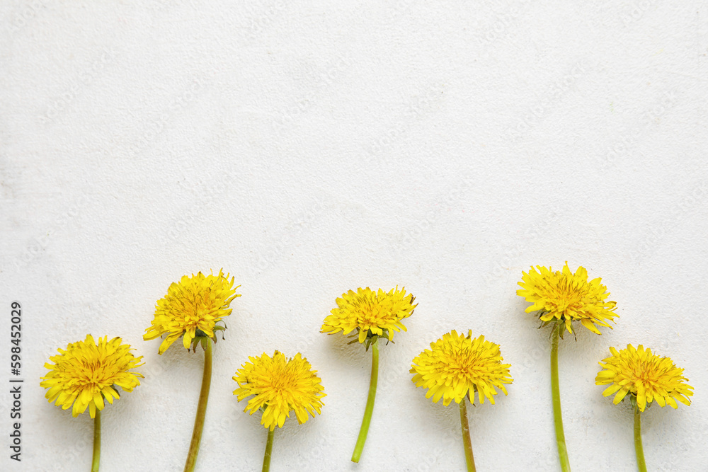 Bright yellow dandelions on white background