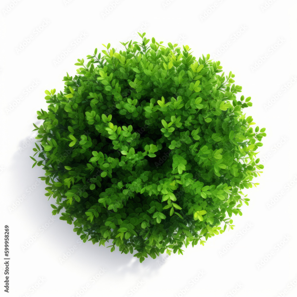 Green bush isolated. Illustration AI Generative.