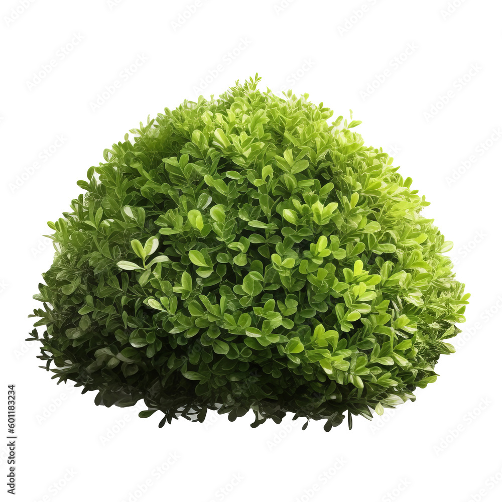 Green bush isolated. Illustration AI Generative.