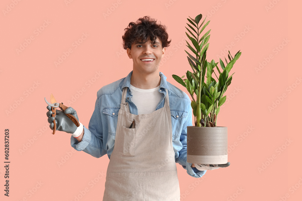Male gardener with secateurs and houseplant on pink background