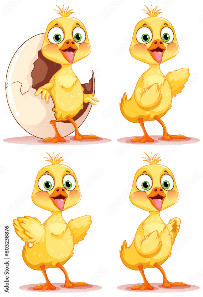 Set of baby chicken cartoon
