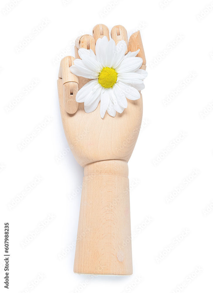 Wooden hand with chamomile flower isolated on white background