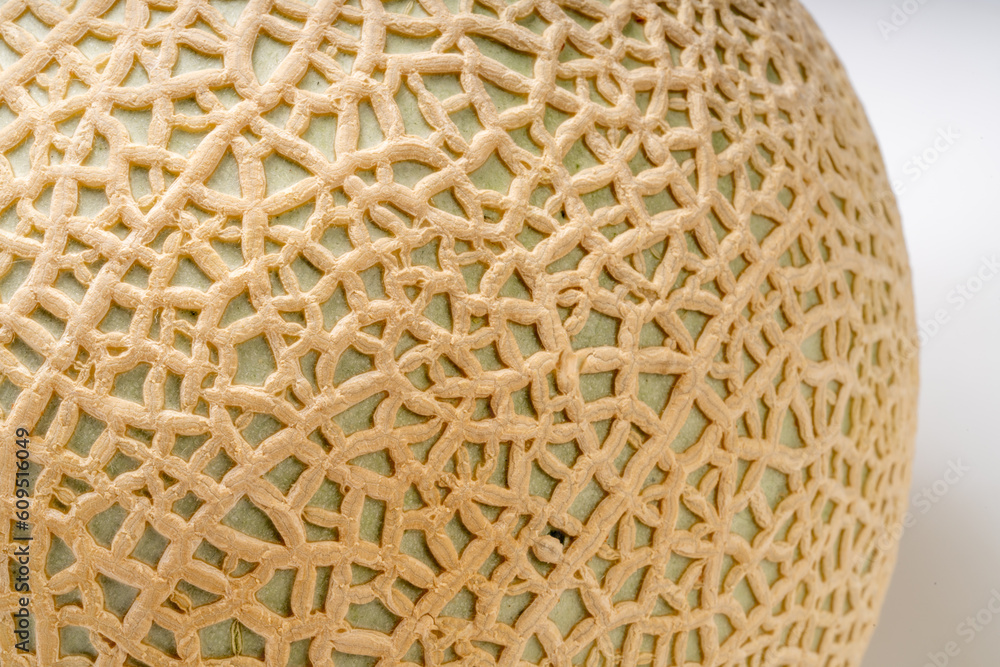 Close up view Crown Musk Melon texture, Shizuoka Crown Melon Yama Grade Melon skin texture.