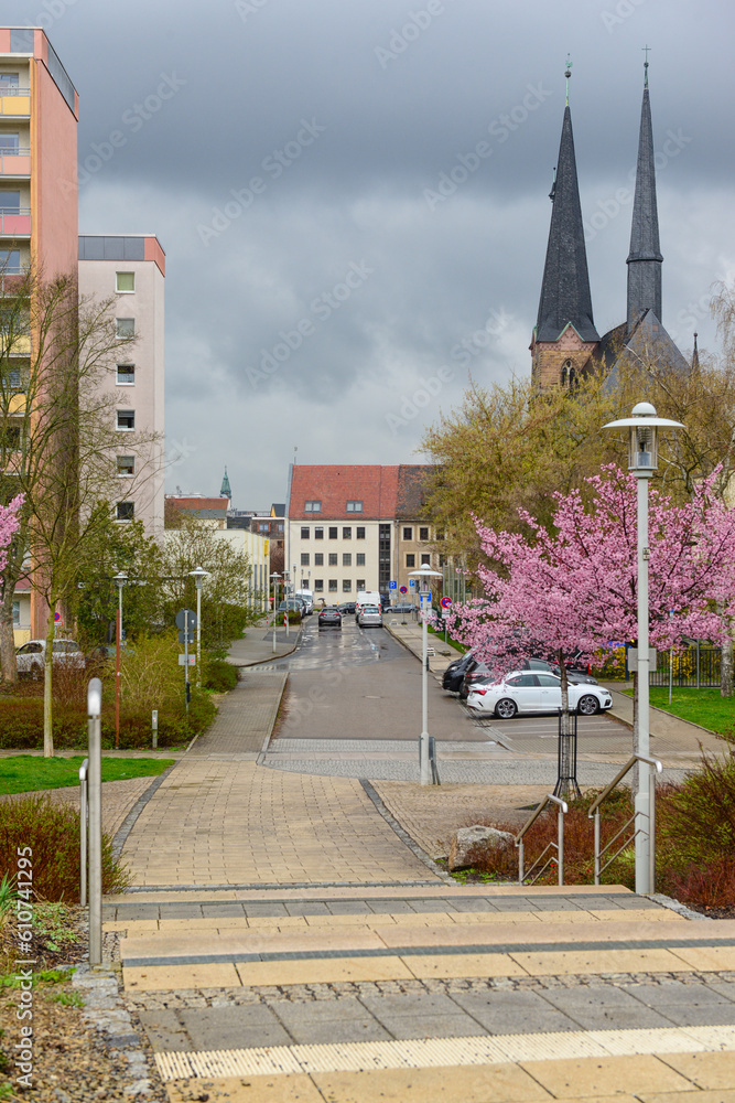 View of city street with blossoming trees on cloudy day