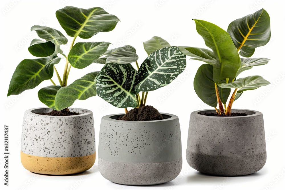 three modern cement planters with various plants inside. Generative AI