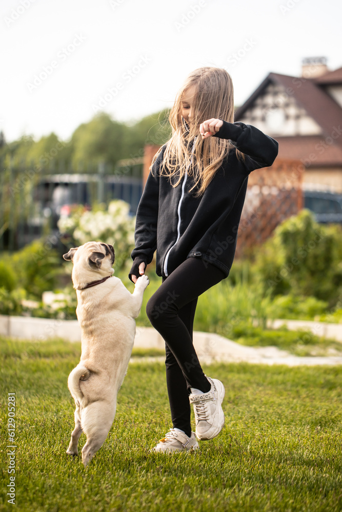 Dog training. Pug. The girl plays with the dog. Pet care.
