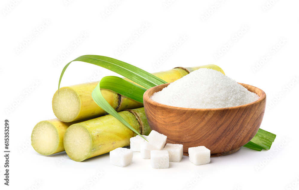 White granulated sugar and cubes with sugar cane stalks and leaves isolated on white background.