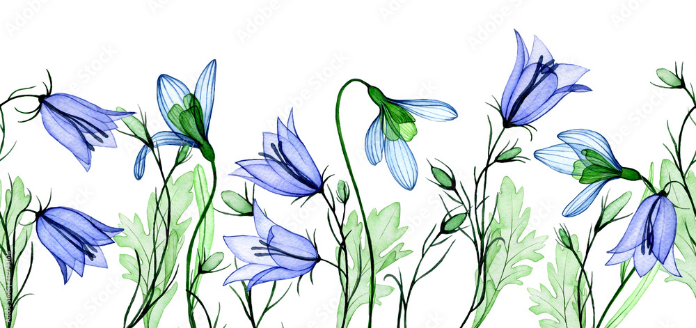 watercolor drawing. seamless border, frame of transparent flowers snowdrop and bluebell. spring wild