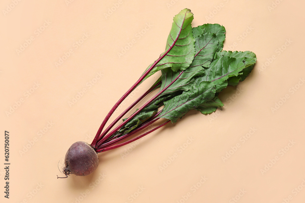 Fresh beetroot with leaves on beige background