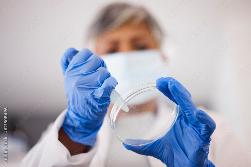 Hands, petri dish and scientist with DNA sample, science experiment and medical research, chemical a
