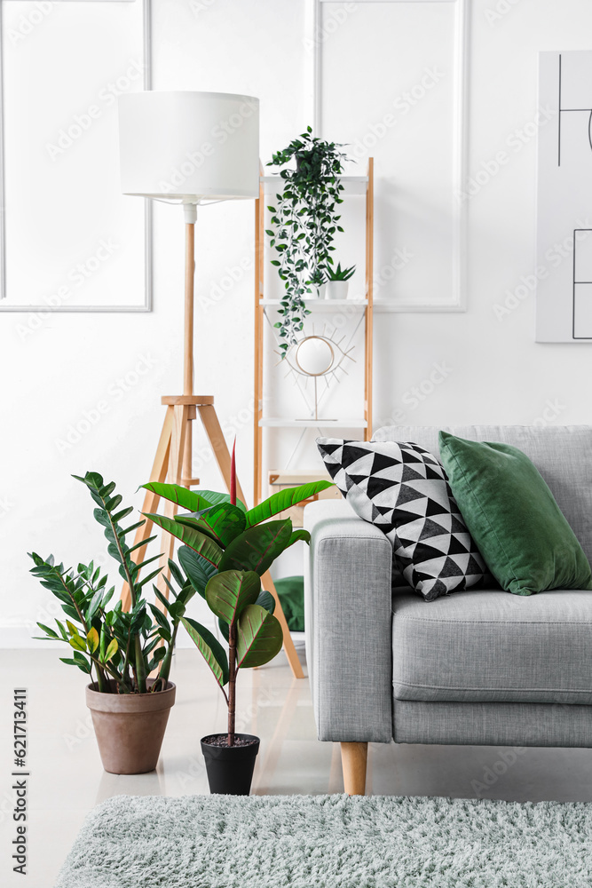 Interior of light living room with cozy grey sofa and green houseplants
