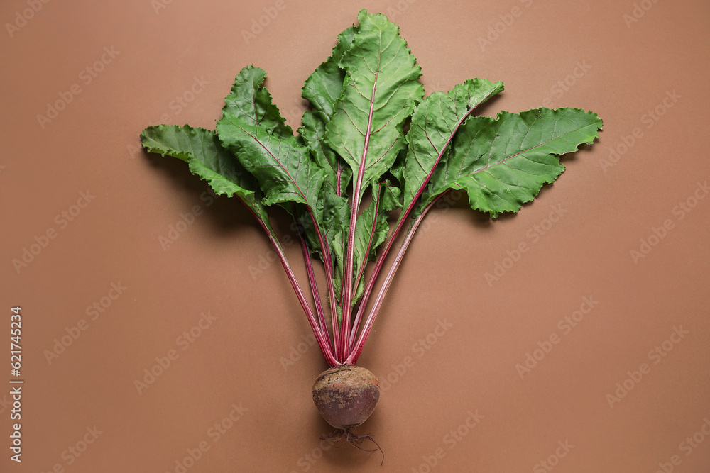 Fresh beetroot with leaves on brown background