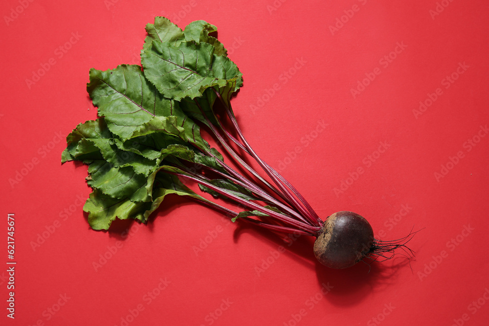 Fresh beetroot with leaves on red background