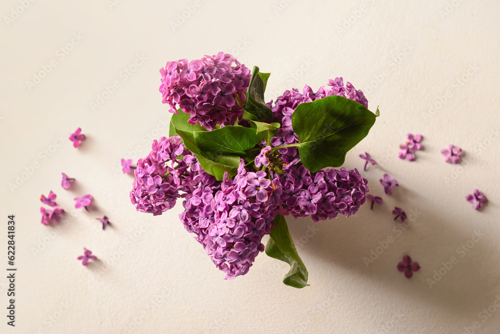 Bouquet of beautiful lilac flowers on light background