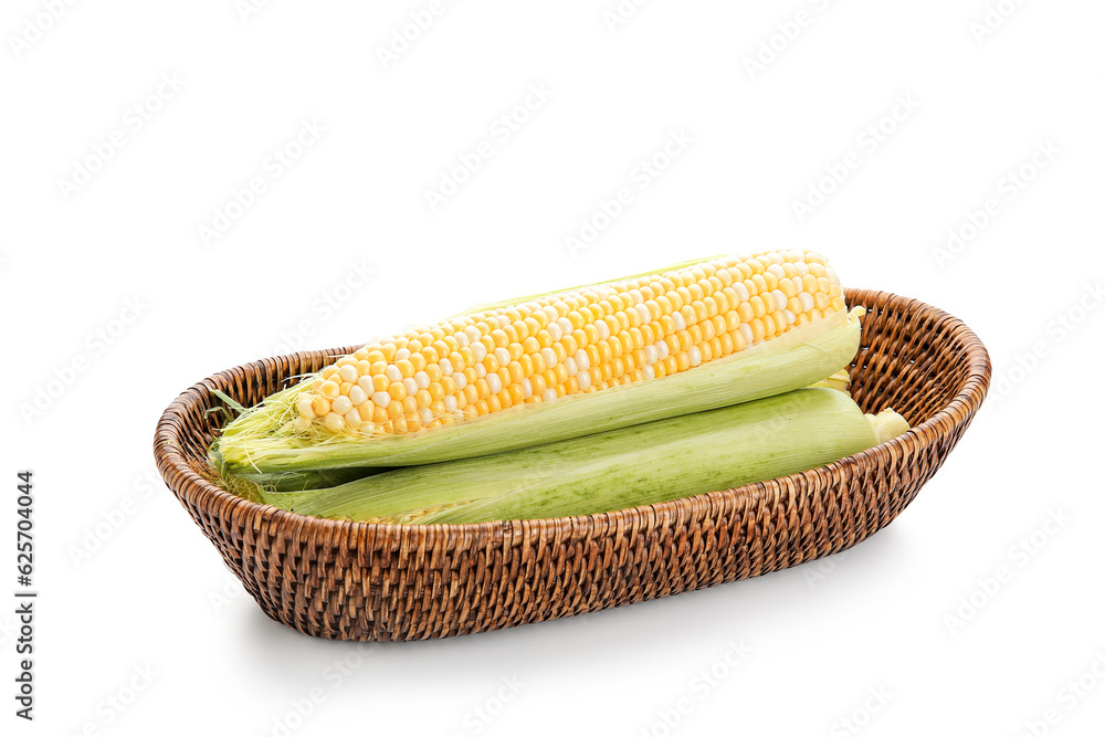 Wicker bowl with fresh corn cobs on white background