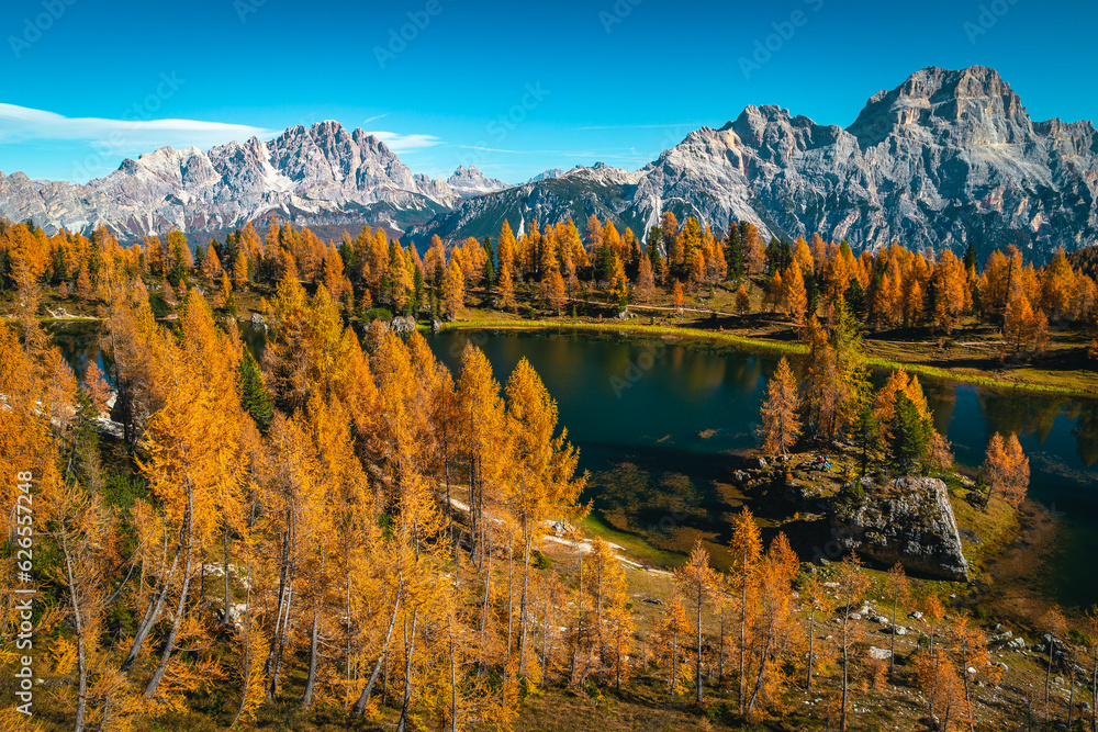 View with lake Federa in the colorful larch forest, Dolomites