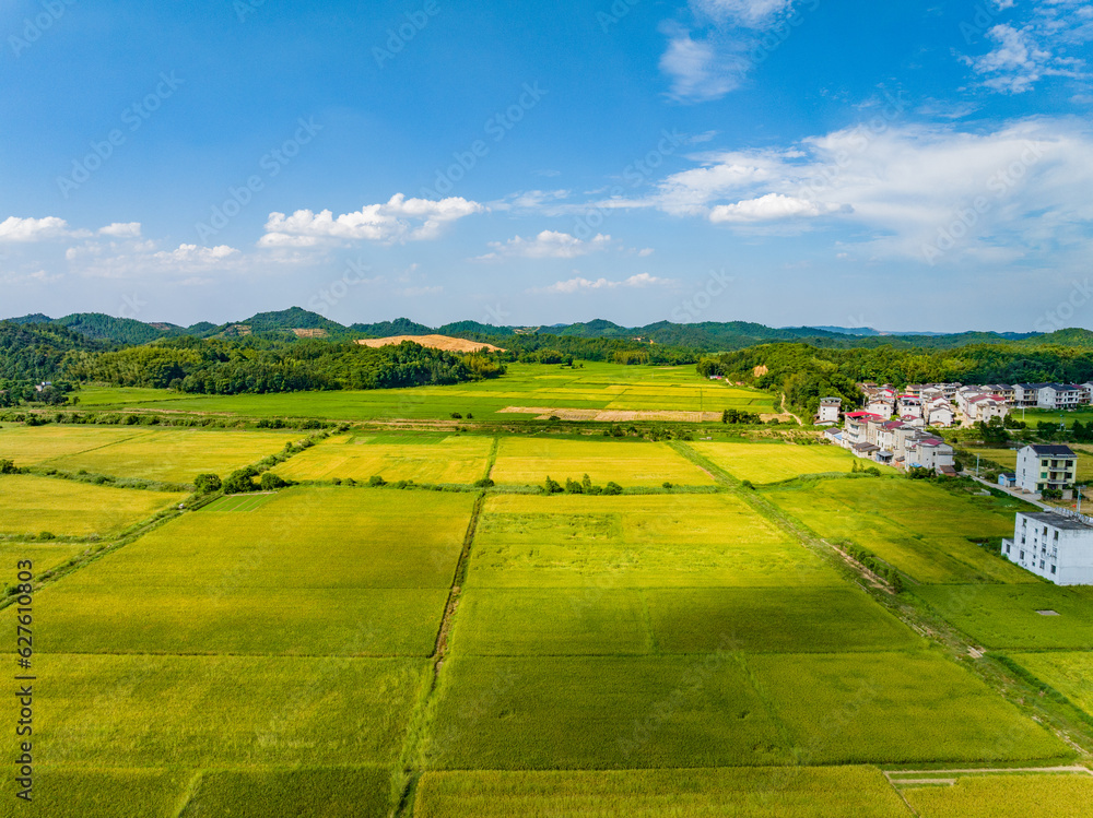 Overlook of Chinese rural houses and river scenery,Aerial photography of pastoral scenery in Jiangxi