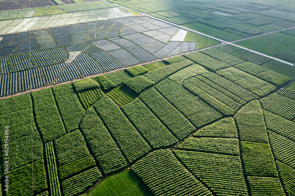 Farmland and fields in Yunnan, China.