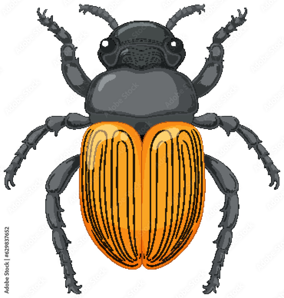 Scarab Beetle Vector Isolated on White Background