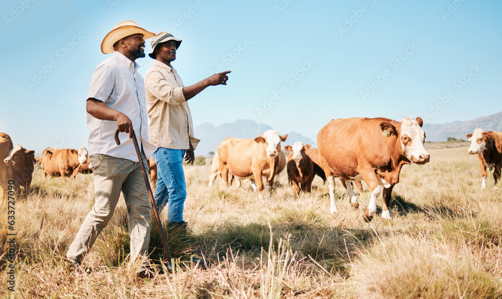 Cattle, teamwork or black people on farm talking by agriculture for livestock, sustainability or agr
