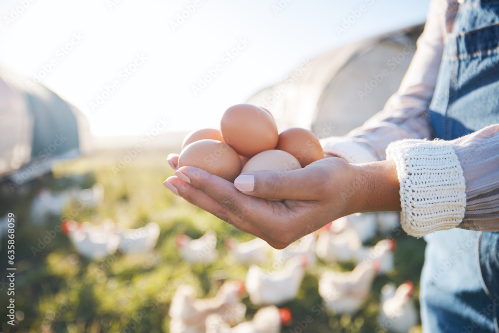 Hands of woman with eggs on farm with chickens, grass and sunshine in countryside field with sustain