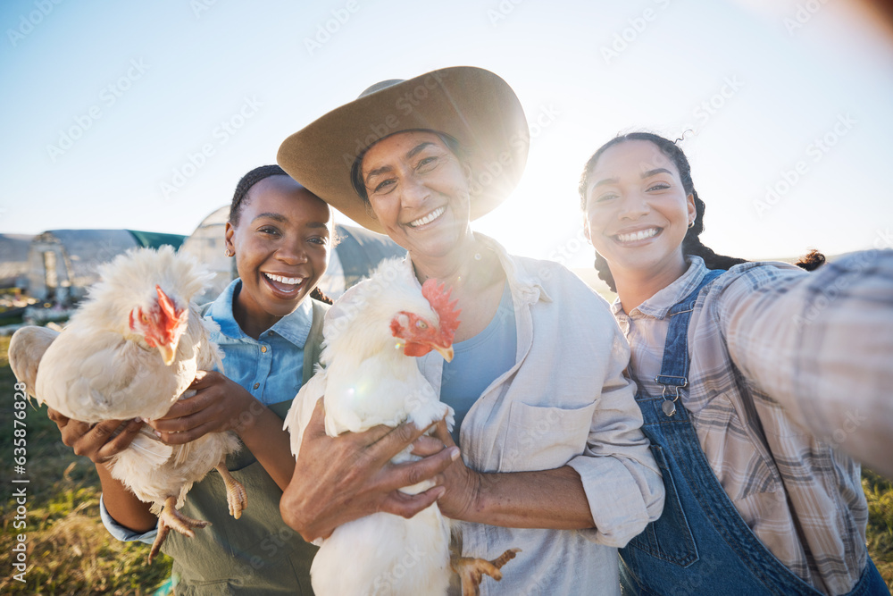 Happy, selfie or farmers on a chicken farm farm or field harvesting poultry livestock in small busin