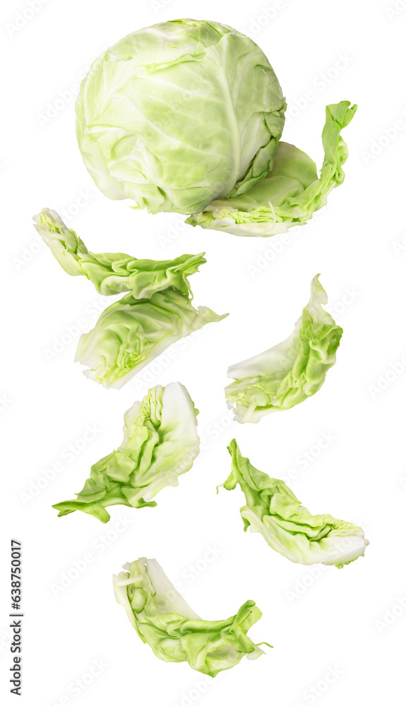 Cabbage leaves fall off a head of cabbage on a white isolated background