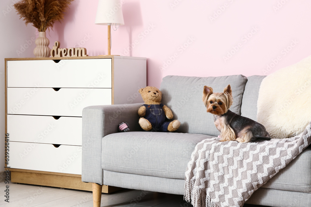 Cute small Yorkshire terrier dog sitting on sofa in room