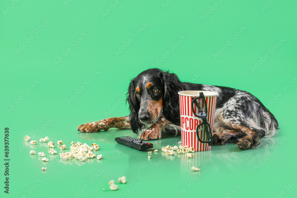 Cute cocker spaniel dog with bucket of popcorn, 3D cinema glasses and TV remote lying on green backg