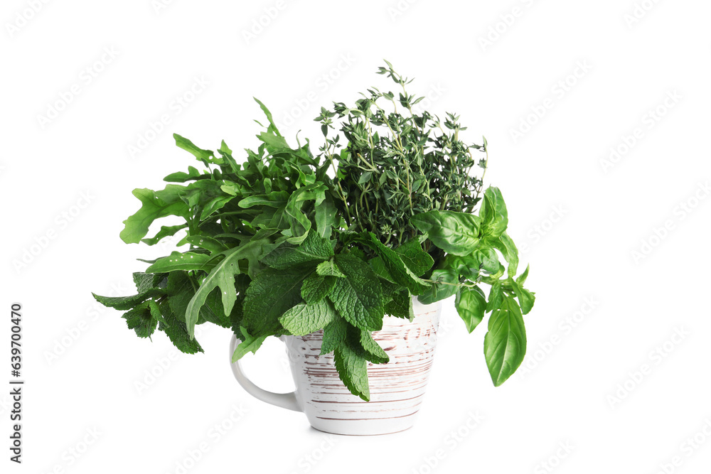 Cup with fresh herbs on white background