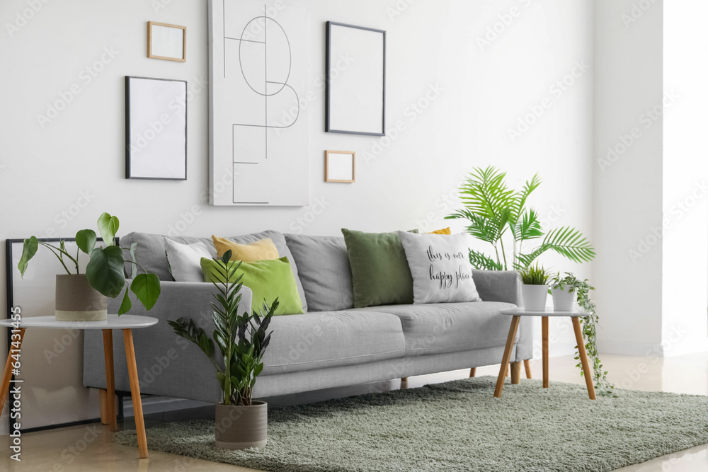 Interior of living room with cozy sofa, paintings and houseplants