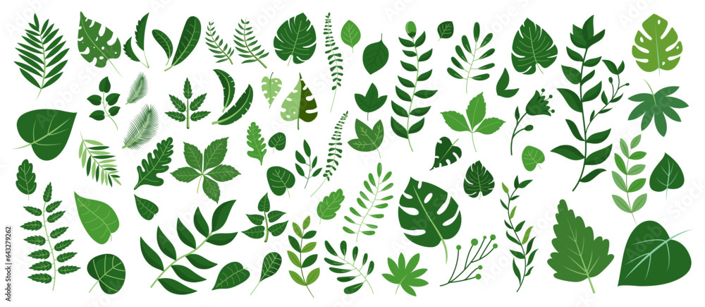 Green leaves big vector collection - Set of graphical elements with various leaf designs in differen