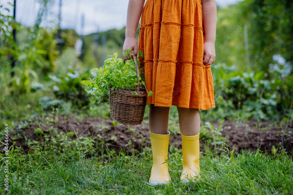 Close-up of girls gardening rubber boots, girl standing in an autumn garden.