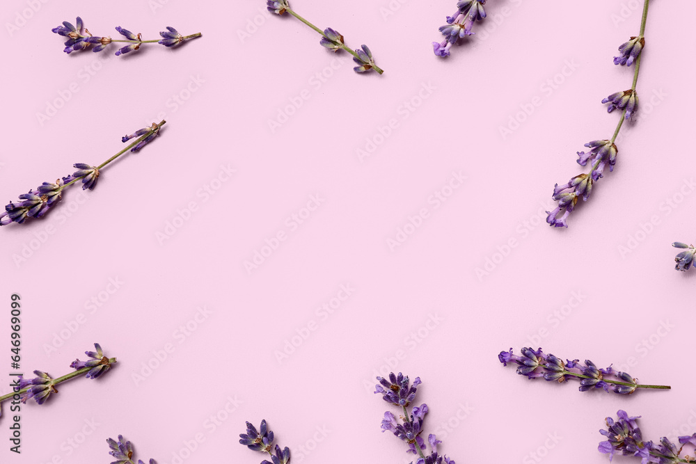 Frame made of beautiful lavender flowers on pink background, closeup