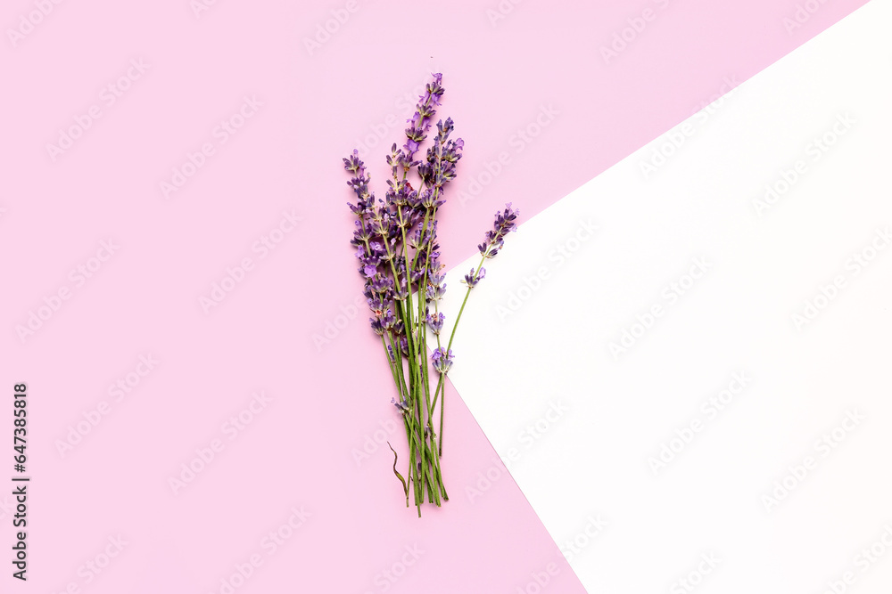 Branches of beautiful lavender flowers and paper sheet on pink background
