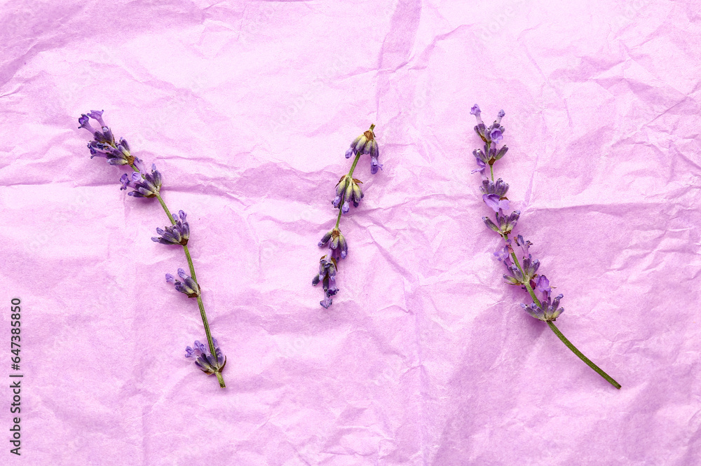 Branches of beautiful lavender flowers on crumpled purple paper, closeup