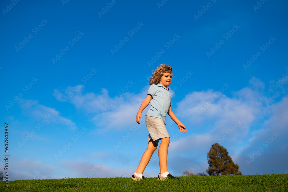 Summer, childhood, leisure and people concept. Happy little boy walking on green summer field. Kids 