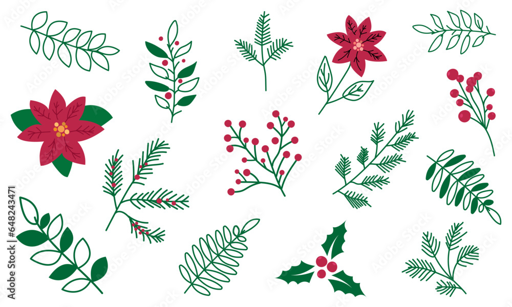 Сhristmas foliage plants. Poinsettia, pine, berry branch, holly berries. Vector illustration isolated on white background