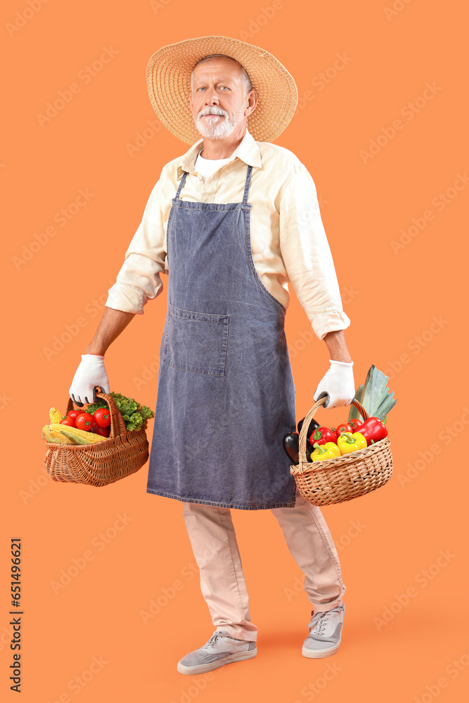 Mature male farmer with wicker baskets full of different ripe vegetables on orange background