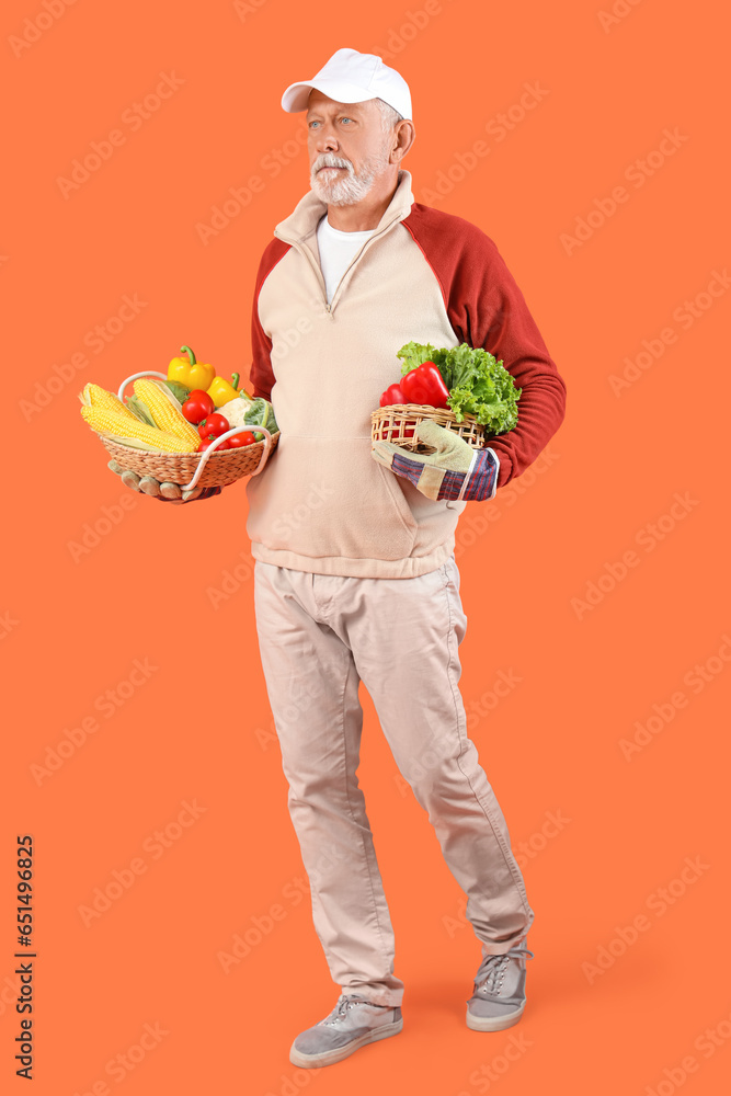 Mature male farmer with wicker baskets full of different ripe vegetables on orange background