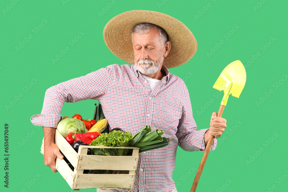 Mature male farmer with shovel and wooden box full of different ripe vegetables on green background