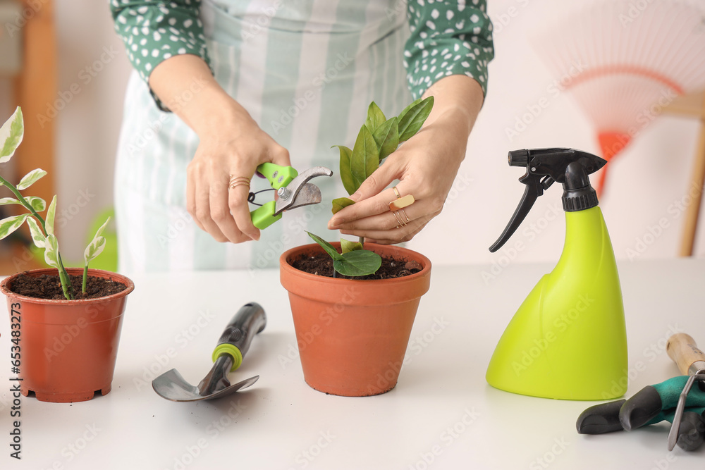Female gardener cutting plant with secateurs at home, closeup