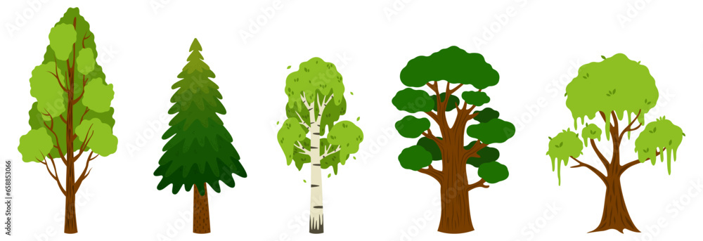 Set of different green trees on white background