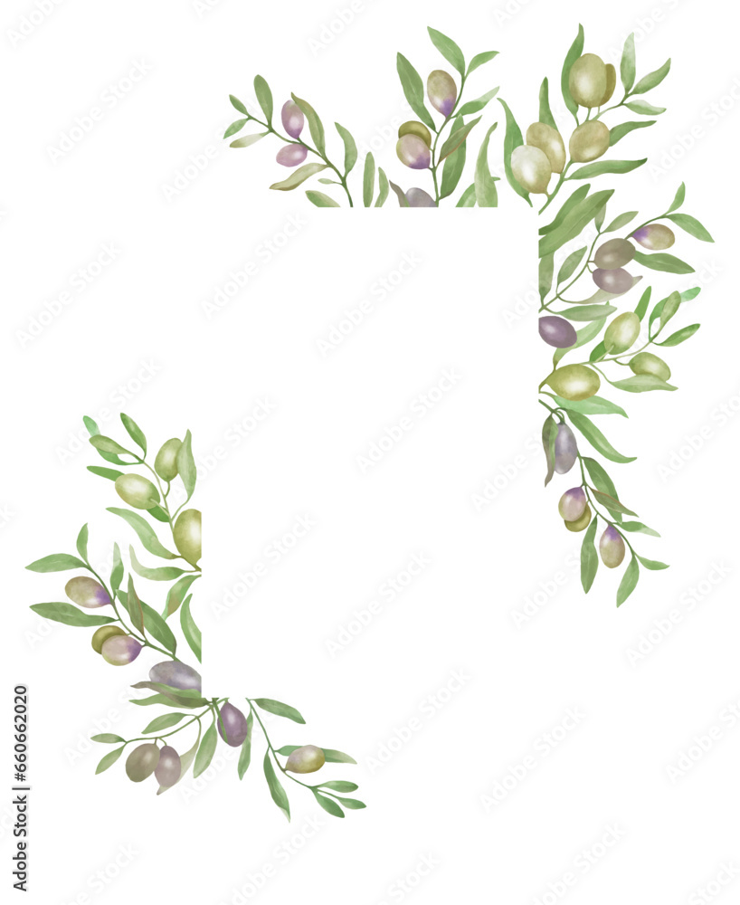 Watercolor card with  olive berries and leaves. Hand painted illustration isolated on white background. Vector EPS.